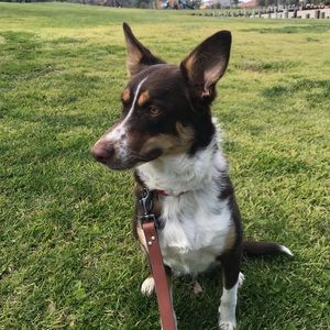 Meet your Posher, Marie